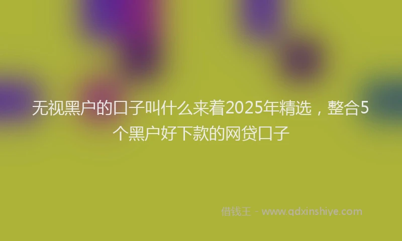 无视黑户的口子叫什么来着2025年精选，整合5个黑户好下款的网贷口子
