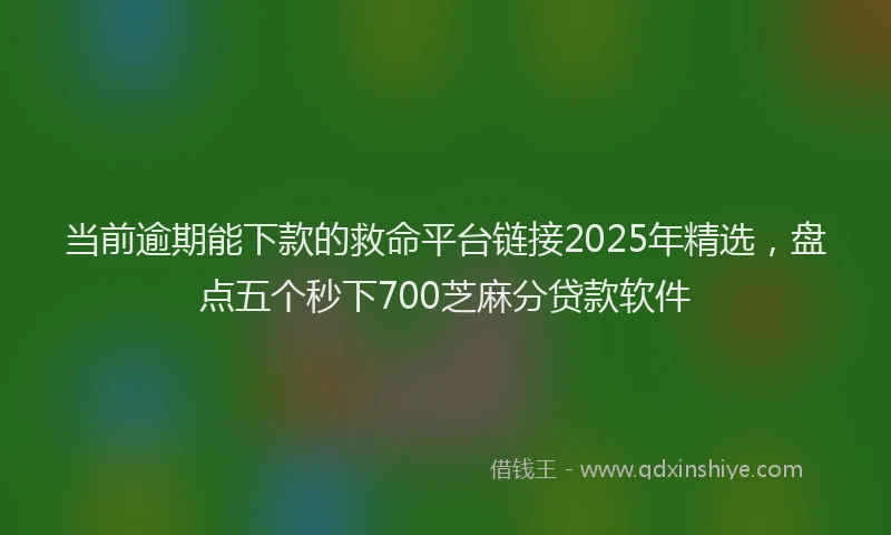 当前逾期能下款的救命平台链接2025年精选，盘点五个秒下700芝麻分贷款软件