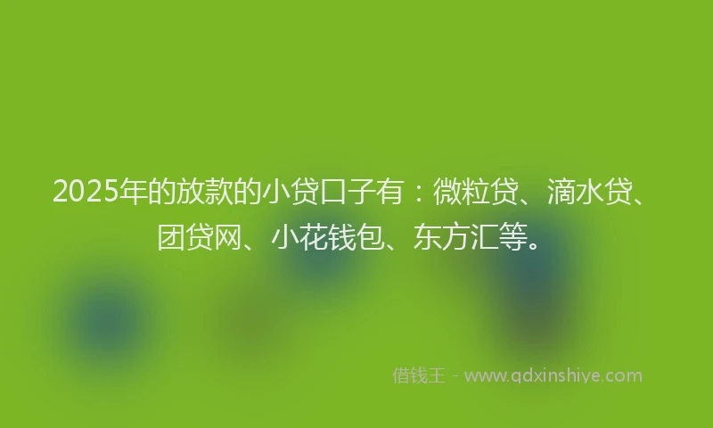 2025年的放款的小贷口子有：微粒贷、滴水贷、团贷网、小花钱包、东方汇等。
