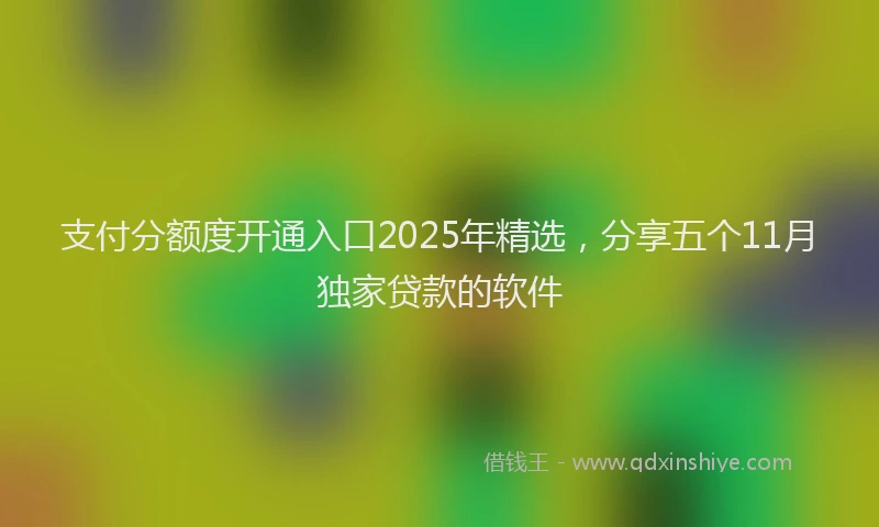 支付分额度开通入口2025年精选，分享五个11月独家贷款的软件