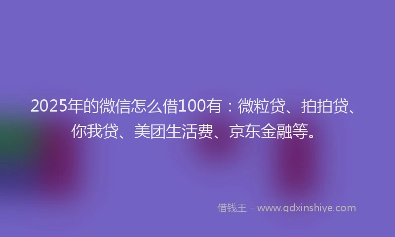 2025年的微信怎么借100有：微粒贷、拍拍贷、你我贷、美团生活费、京东金融等。