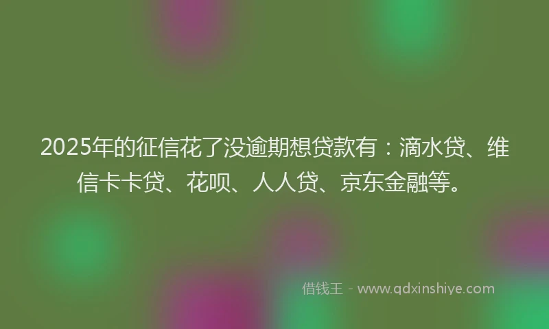 2025年的征信花了没逾期想贷款有：滴水贷、维信卡卡贷、花呗、人人贷、京东金融等。