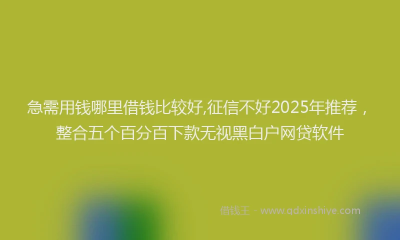 急需用钱哪里借钱比较好,征信不好2025年推荐，整合五个百分百下款无视黑白户网贷软件