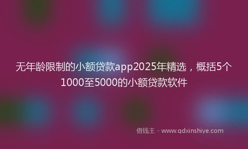 无年龄限制的小额贷款app2025年精选，概括5个1000至5000的小额贷款软件
