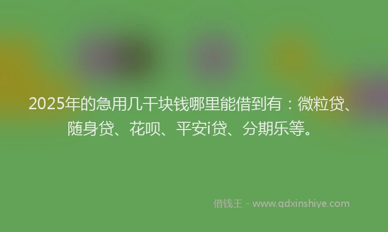 2025年的急用几干块钱哪里能借到有：微粒贷、随身贷、花呗、平安i贷、分期乐等。