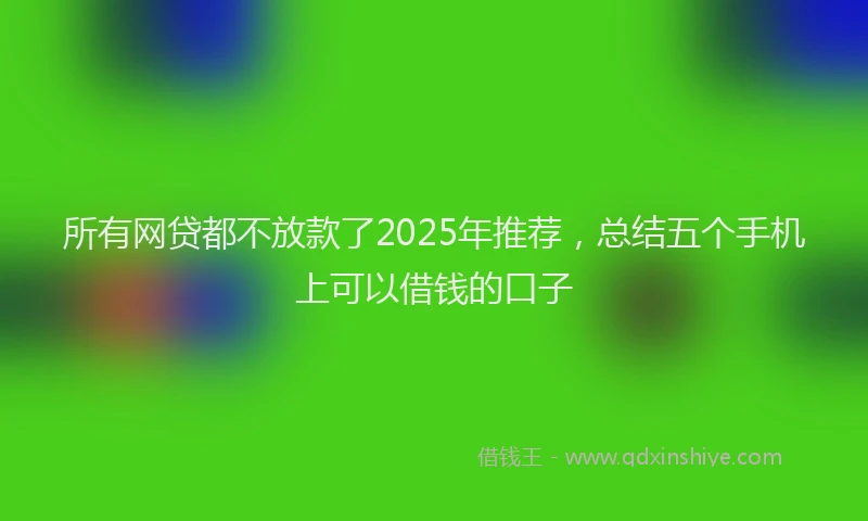 所有网贷都不放款了2025年推荐，总结五个手机上可以借钱的口子