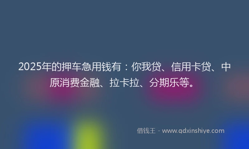 2025年的押车急用钱有：你我贷、信用卡贷、中原消费金融、拉卡拉、分期乐等。