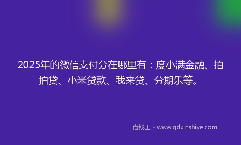 2025年的微信支付分在哪里有：度小满金融、拍拍贷、小米贷款、我来贷、分期乐等。