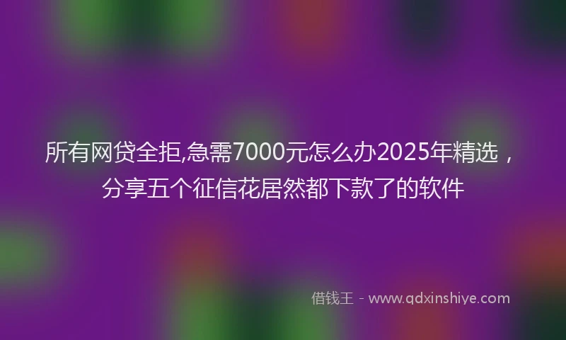 所有网贷全拒,急需7000元怎么办2025年精选，分享五个征信花居然都下款了的软件