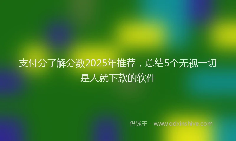支付分了解分数2025年推荐，总结5个无视一切是人就下款的软件