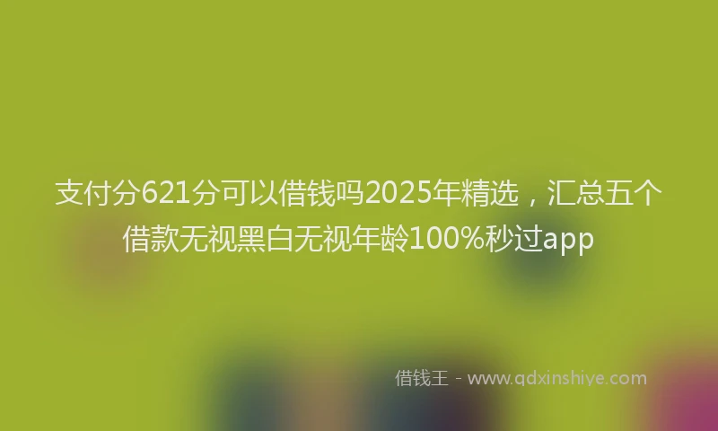 支付分621分可以借钱吗2025年精选，汇总五个借款无视黑白无视年龄100%秒过app