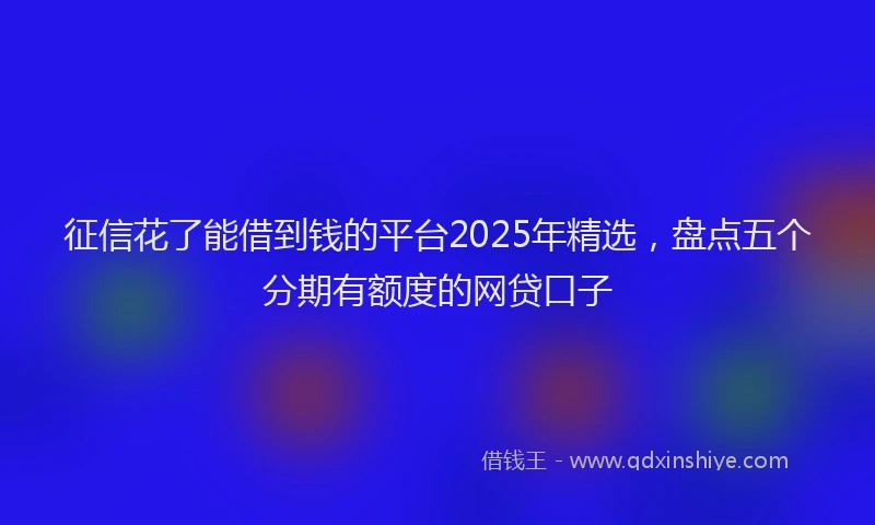 征信花了能借到钱的平台2025年精选，盘点五个分期有额度的网贷口子
