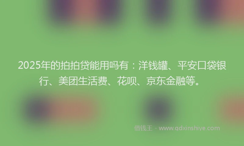2025年的拍拍贷能用吗有：洋钱罐、平安口袋银行、美团生活费、花呗、京东金融等。