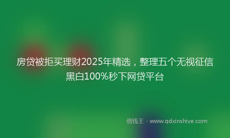 房贷被拒买理财2025年精选，整理五个无视征信黑白100%秒下网贷平台