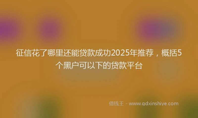 征信花了哪里还能贷款成功2025年推荐，概括5个黑户可以下的贷款平台