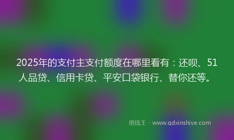 2025年的支付主支付额度在哪里看有：还呗、51人品贷、信用卡贷、平安口袋银行、替你还等。