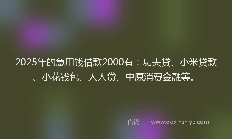 2025年的急用钱借款2000有：功夫贷、小米贷款、小花钱包、人人贷、中原消费金融等。