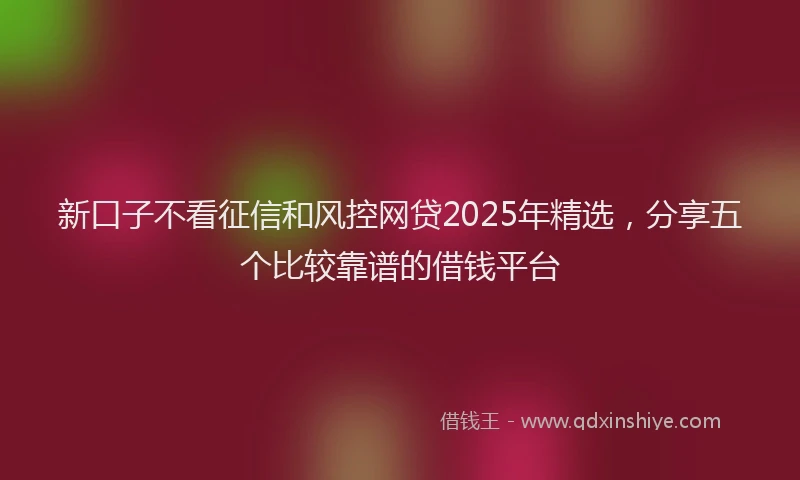 新口子不看征信和风控网贷2025年精选，分享五个比较靠谱的借钱平台