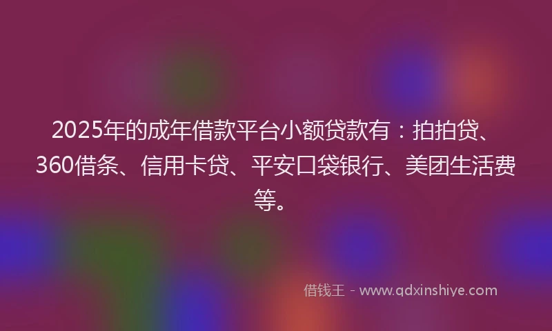 2025年的成年借款平台小额贷款有：拍拍贷、360借条、信用卡贷、平安口袋银行、美团生活费等。