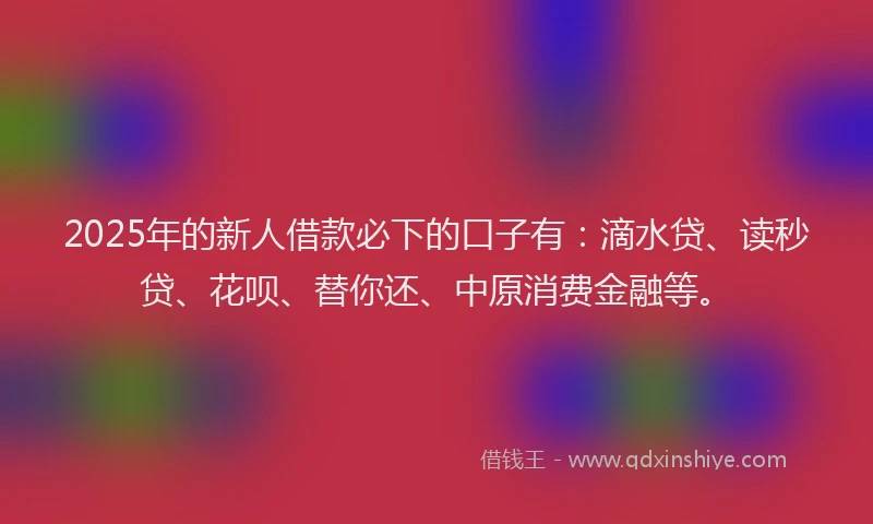2025年的新人借款必下的口子有：滴水贷、读秒贷、花呗、替你还、中原消费金融等。