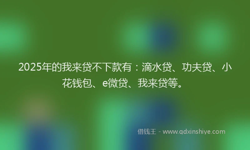 2025年的我来贷不下款有：滴水贷、功夫贷、小花钱包、e微贷、我来贷等。