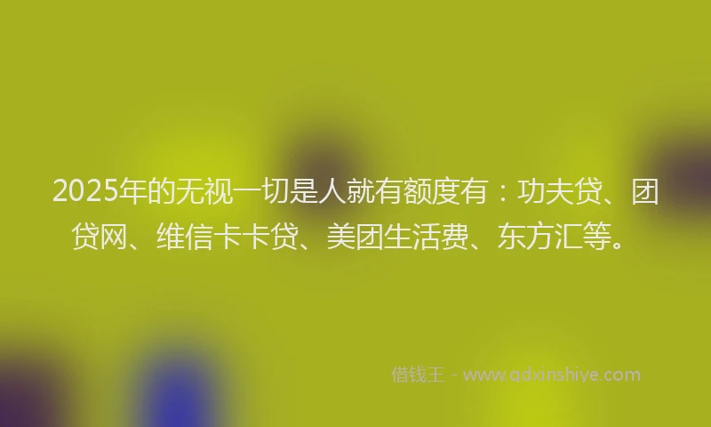 2025年的无视一切是人就有额度有：功夫贷、团贷网、维信卡卡贷、美团生活费、东方汇等。