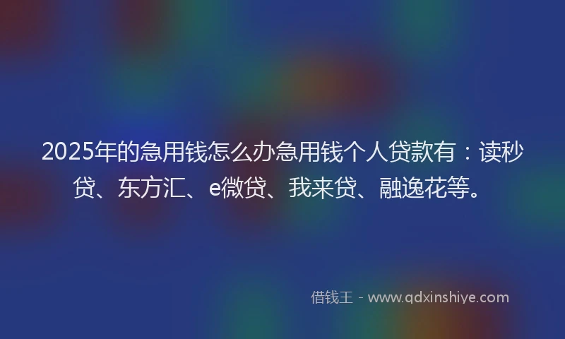 2025年的急用钱怎么办急用钱个人贷款有：读秒贷、东方汇、e微贷、我来贷、融逸花等。