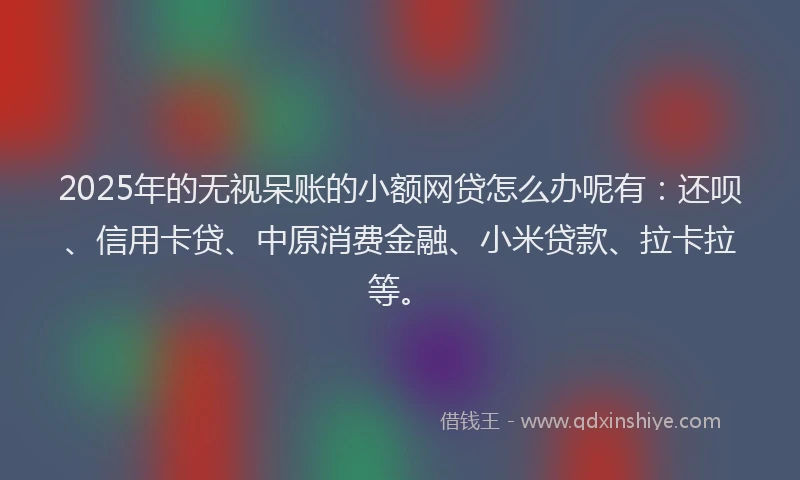 2025年的无视呆账的小额网贷怎么办呢有：还呗、信用卡贷、中原消费金融、小米贷款、拉卡拉等。