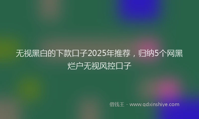 无视黑白的下款口子2025年推荐，归纳5个网黑烂户无视风控口子