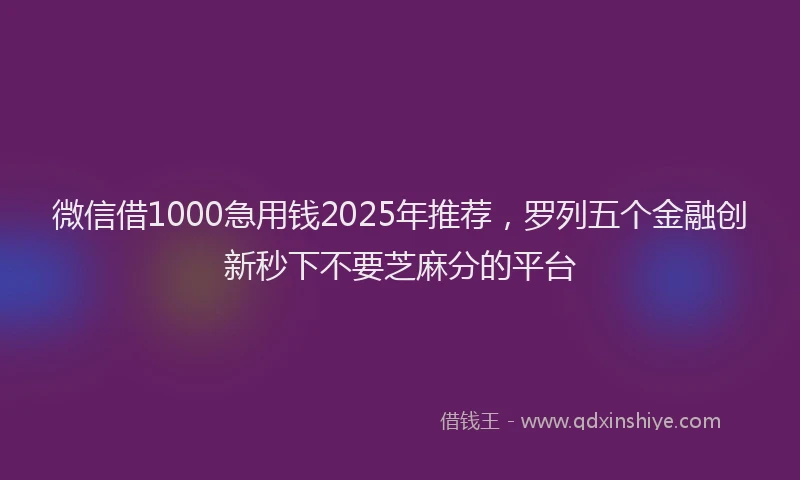 微信借1000急用钱2025年推荐，罗列五个金融创新秒下不要芝麻分的平台