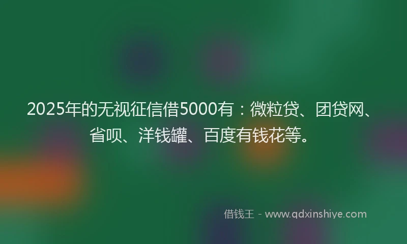 2025年的无视征信借5000有：微粒贷、团贷网、省呗、洋钱罐、百度有钱花等。