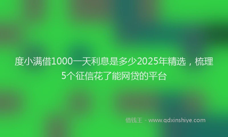度小满借1000一天利息是多少2025年精选，梳理5个征信花了能网贷的平台