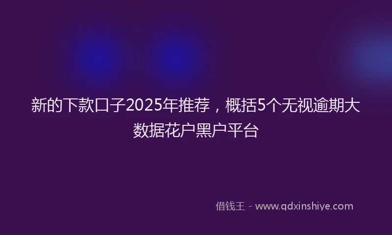 新的下款口子2025年推荐，概括5个无视逾期大数据花户黑户平台