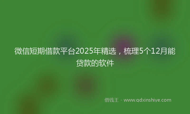 微信短期借款平台2025年精选，梳理5个12月能贷款的软件