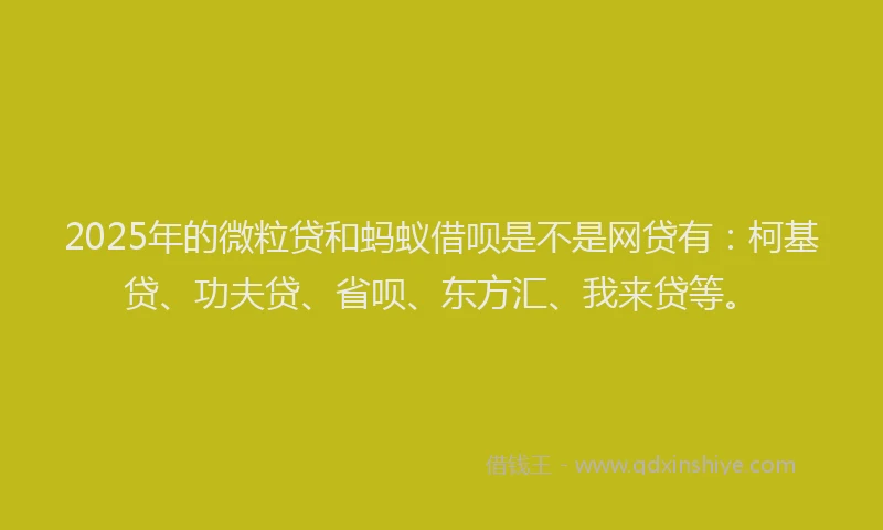 2025年的微粒贷和蚂蚁借呗是不是网贷有：柯基贷、功夫贷、省呗、东方汇、我来贷等。