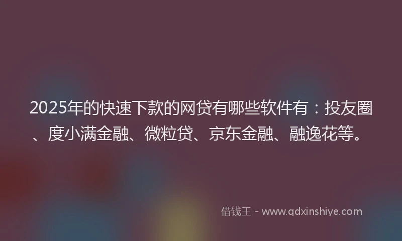 2025年的快速下款的网贷有哪些软件有：投友圈、度小满金融、微粒贷、京东金融、融逸花等。