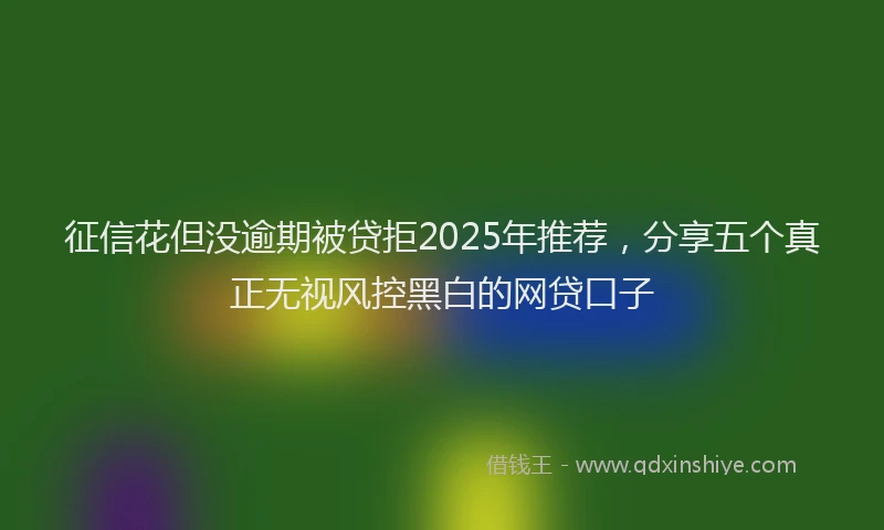 征信花但没逾期被贷拒2025年推荐，分享五个真正无视风控黑白的网贷口子