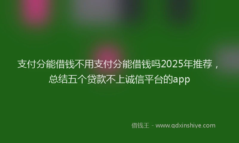 支付分能借钱不用支付分能借钱吗2025年推荐，总结五个贷款不上诚信平台的app
