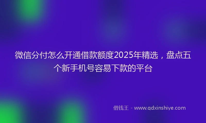 微信分付怎么开通借款额度2025年精选，盘点五个新手机号容易下款的平台