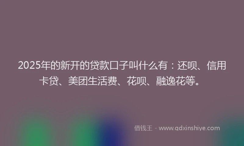 2025年的新开的贷款口子叫什么有：还呗、信用卡贷、美团生活费、花呗、融逸花等。