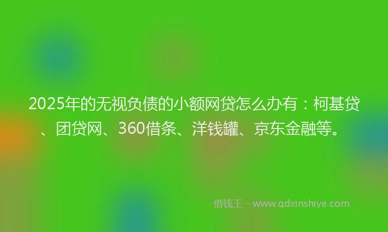 2025年的无视负债的小额网贷怎么办有：柯基贷、团贷网、360借条、洋钱罐、京东金融等。