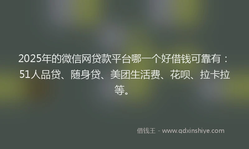 2025年的微信网贷款平台哪一个好借钱可靠有：51人品贷、随身贷、美团生活费、花呗、拉卡拉等。