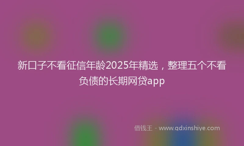 新口子不看征信年龄2025年精选，整理五个不看负债的长期网贷app