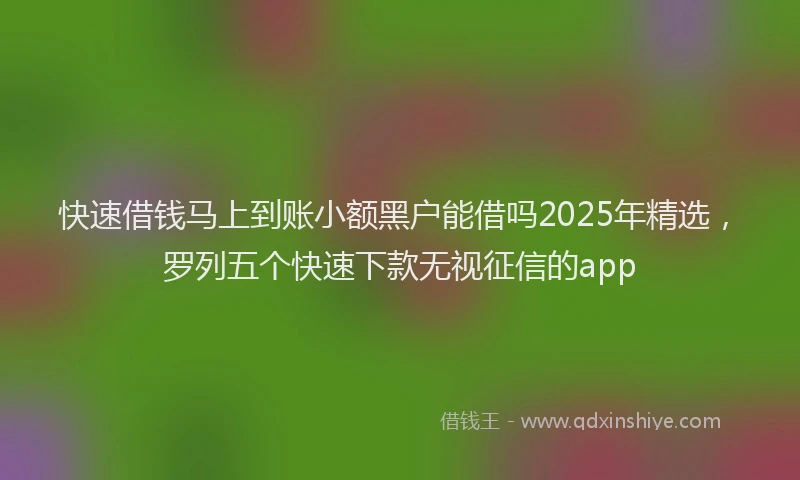 快速借钱马上到账小额黑户能借吗2025年精选，罗列五个快速下款无视征信的app