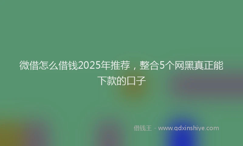 微借怎么借钱2025年推荐，整合5个网黑真正能下款的口子