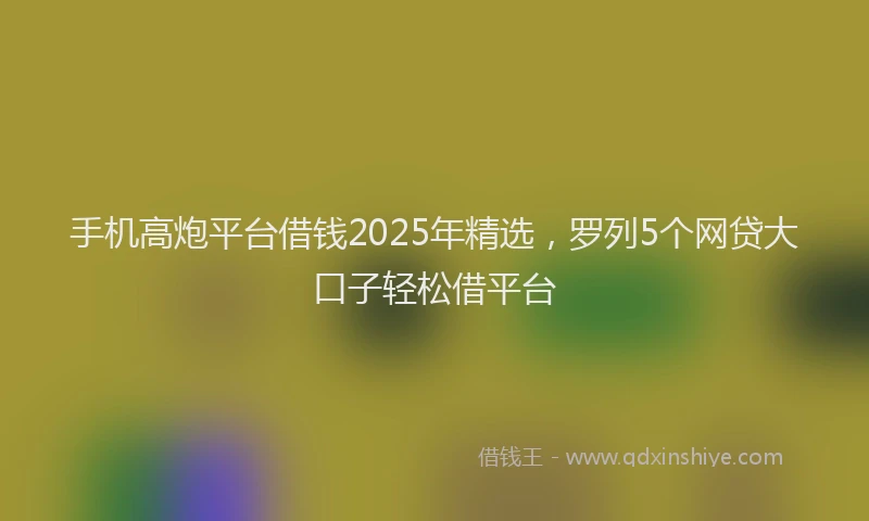 手机高炮平台借钱2025年精选，罗列5个网贷大口子轻松借平台