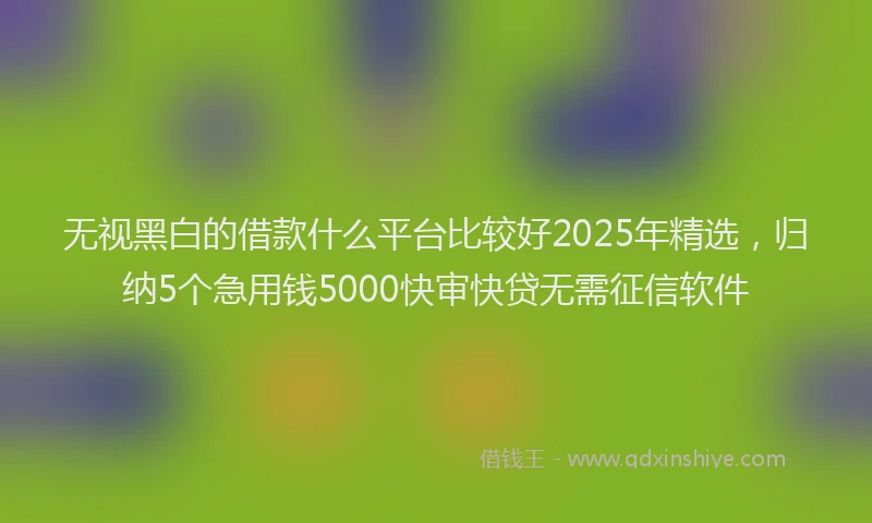 无视黑白的借款什么平台比较好2025年精选，归纳5个急用钱5000快审快贷无需征信软件