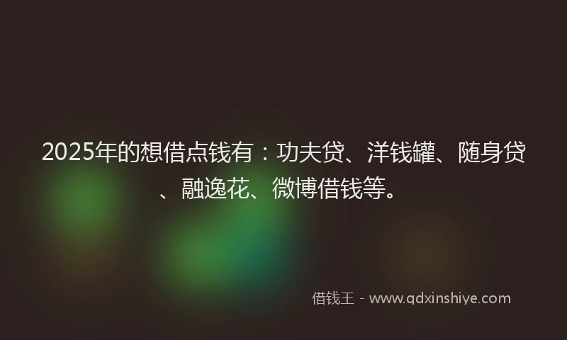 2025年的想借点钱有：功夫贷、洋钱罐、随身贷、融逸花、微博借钱等。