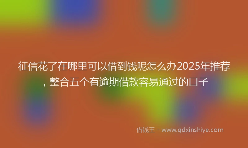 征信花了在哪里可以借到钱呢怎么办2025年推荐，整合五个有逾期借款容易通过的口子