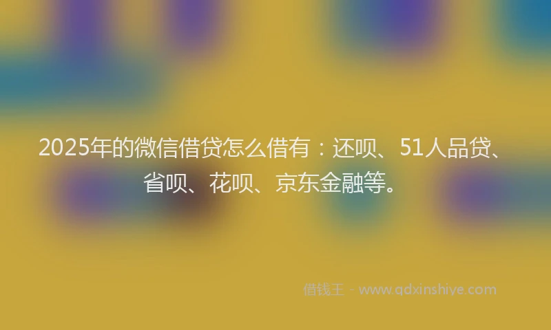 2025年的微信借贷怎么借有：还呗、51人品贷、省呗、花呗、京东金融等。
